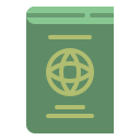 pasaporte icon