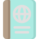 pasaporte icon