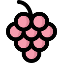 uvas icon