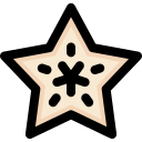 fruta estrella icon