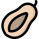 papaya icon