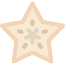 fruta estrella icon