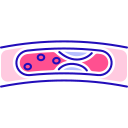Cardiology icon