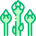 vegetales icon