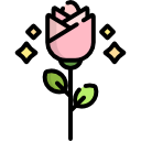 rosa icon