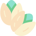 pistacho icon