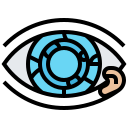 ojo icon