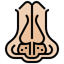 nariz icon