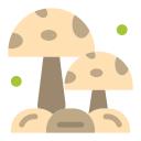 버섯 icon