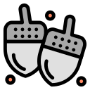 Acorn