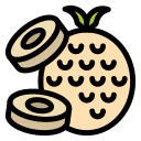 piña icon