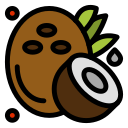 coco icon