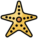 estrella de mar icon