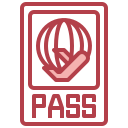 pasaporte icon