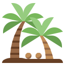 palmera icon