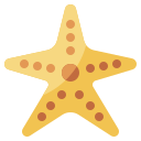 estrella de mar