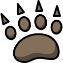 animal icon