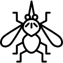 mosquito