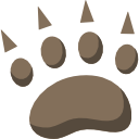 animal icon