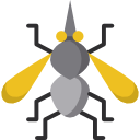 mosquito