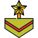 insignia icon