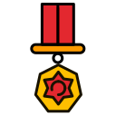 insignia icon