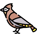 pájaro icon