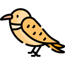 pájaro icon