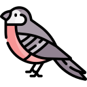 pájaro icon