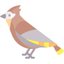 pájaro