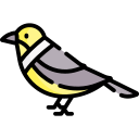 pájaro icon