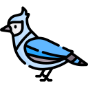 pájaro icon