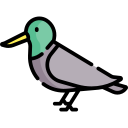 pájaro icon