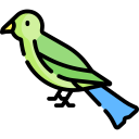 pájaro icon