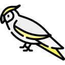 cacatúa icon