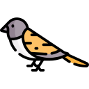 pájaro icon