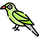 pájaro icon