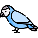 loro icon