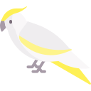 cacatúa