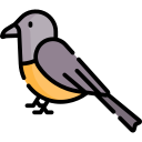 pájaro icon