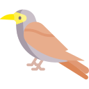 pájaro