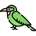 pájaro icon