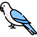 loro icon