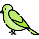 pájaro icon