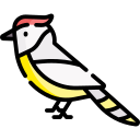 cacatúa icon