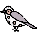 pájaro icon