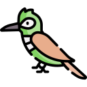 pájaro carpintero icon