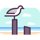 gaviota icon