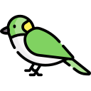 pájaro icon