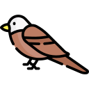 Águila icon